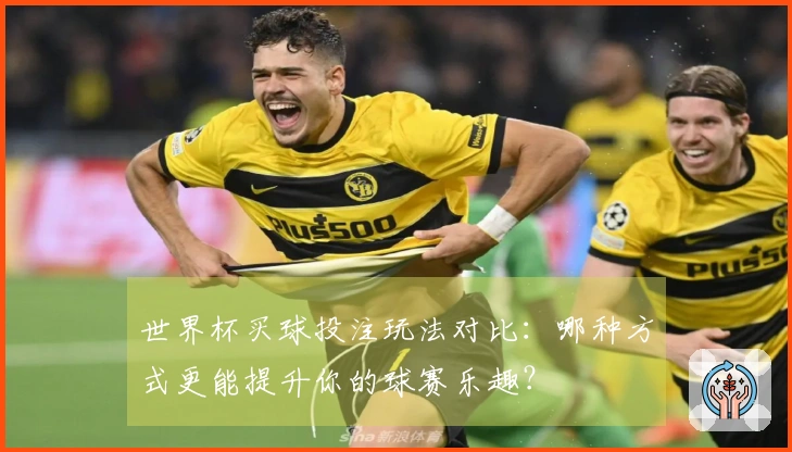 世界杯买球投注玩法对比：哪种方式更能提升你的球赛乐趣？