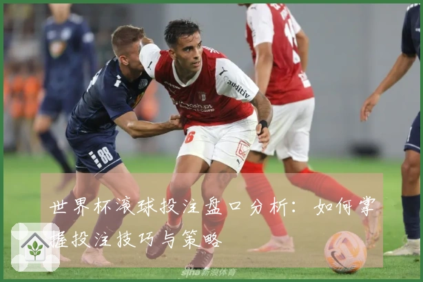 世界杯滚球投注盘口分析：如何掌握投注技巧与策略