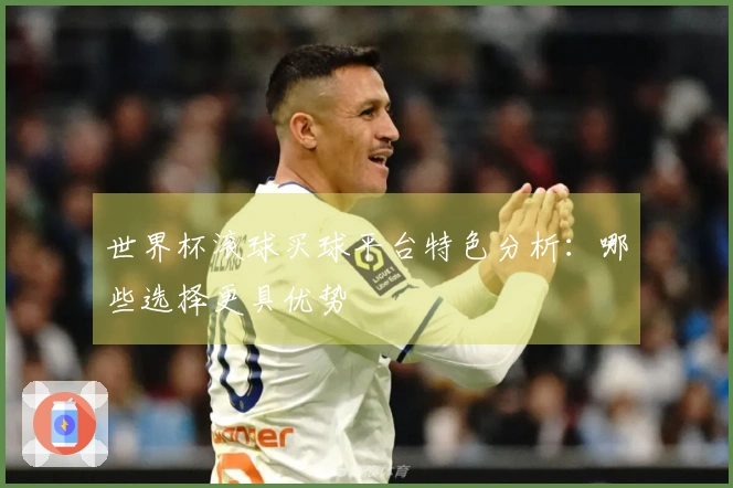 世界杯滚球买球平台特色分析：哪些选择更具优势