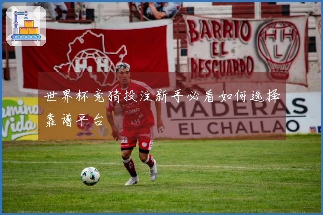 世界杯竞猜投注新手必看如何选择靠谱平台