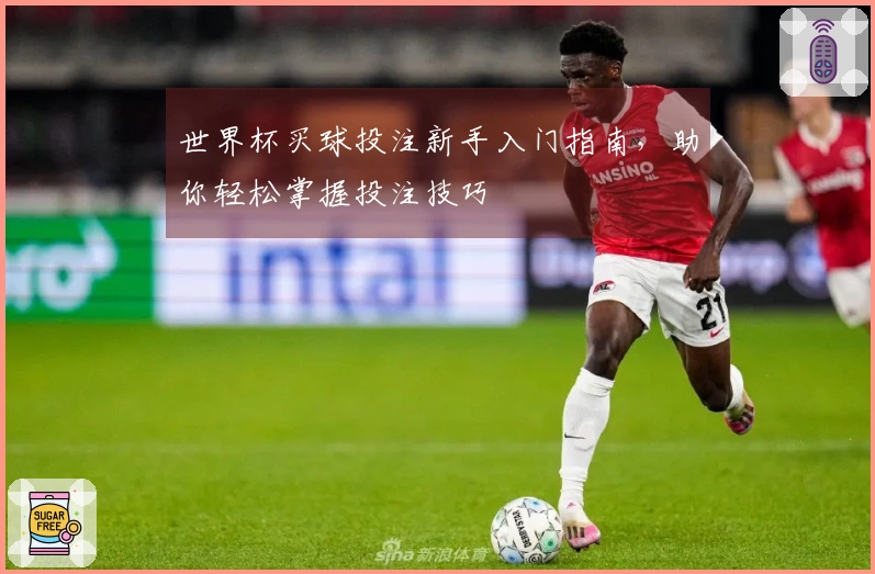 世界杯买球投注新手入门指南，助你轻松掌握投注技巧